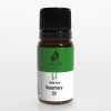 Rosemary Oil 10ml